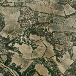 Tehuitzingo map(satellite map)