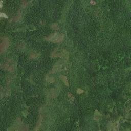Alps map(satellite map)