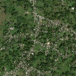Logwood map(satellite map)