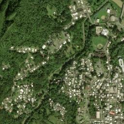 Ciales map(satellite map)