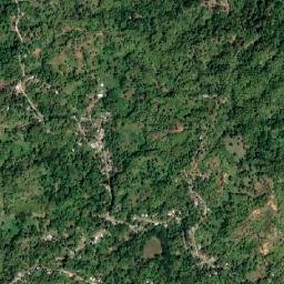 Williamsfield map(satellite map)
