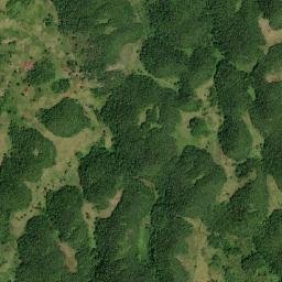 Higgin Land map(satellite map)