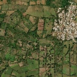 Los Naranjos map(satellite map)