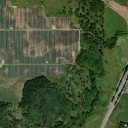 Yaguate map(satellite map)