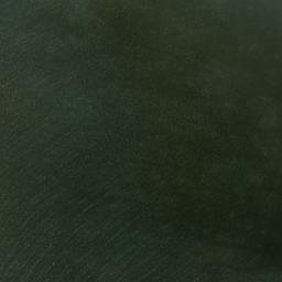 Water Island map(satellite map)