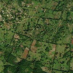 Walkers Wood map(satellite map)
