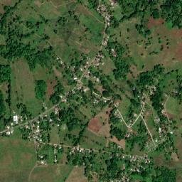 Strawberry map(satellite map)