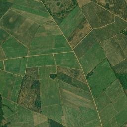 Cosamaloapan de Carpio map(satellite map)