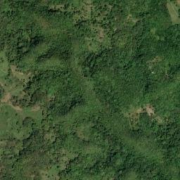 Delveland map(satellite map)