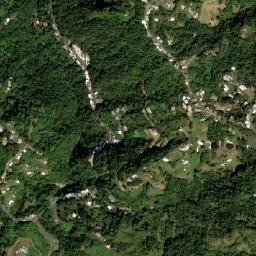 Naranjito Municipio map(satellite map)