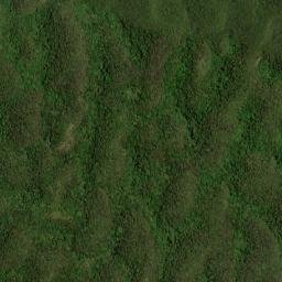 Freemans Hall map(satellite map)
