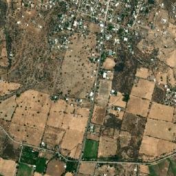 San Antonio de las Huertas map(satellite map)