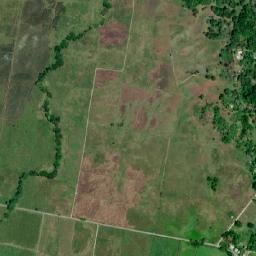 Petersfield map(satellite map)