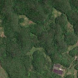 Niagara map(satellite map)