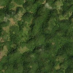 Linton Park map(satellite map)