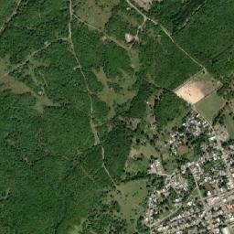 Sabana Grande de Palenque map(satellite map)