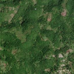 Caledonia map(satellite map)