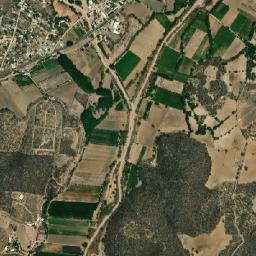 Tetelcingo map(satellite map)
