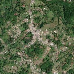 Darliston map(satellite map)