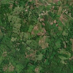 Dundee map(satellite map)