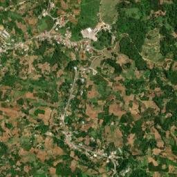 Lorrimers map(satellite map)