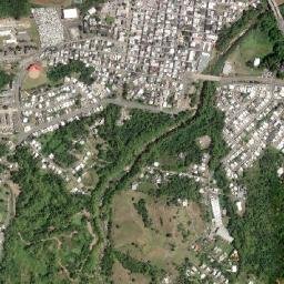 Juncos map(satellite map)