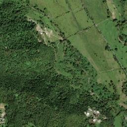 Naguabo map(satellite map)