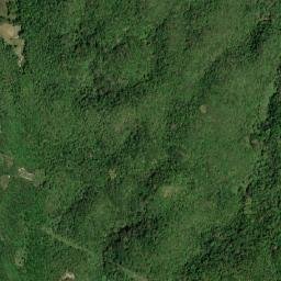 Ferris map(satellite map)