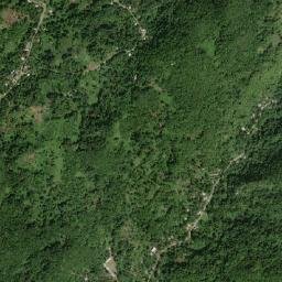 Pear Tree Grove map(satellite map)