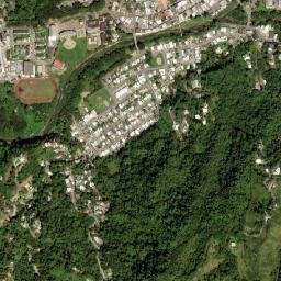 Jayuya map(satellite map)