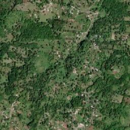 Dillion Bigwoods map(satellite map)