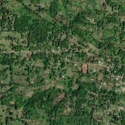 Lenox Bigwoods map(satellite map)
