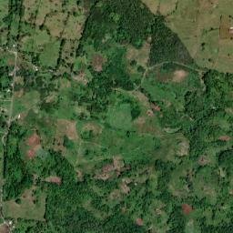Enfield map(satellite map)