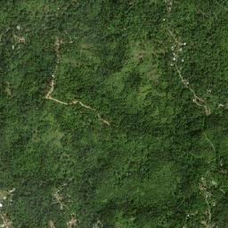 Redwood map(satellite map)