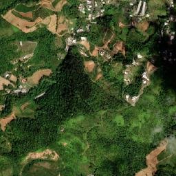 Barranquitas map(satellite map)