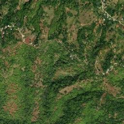 Morgans Forest map(satellite map)