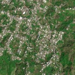 La Fermina map(satellite map)