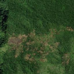 Balcarres map(satellite map)