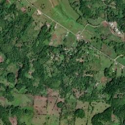 Bog map(satellite map)