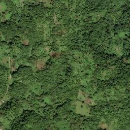 Mount Pleasant map(satellite map)