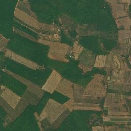 Amphoe Si Wilai map(satellite map)