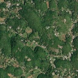 Carisbrook map(satellite map)