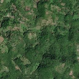 Petersville map(satellite map)