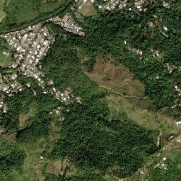 Villalba Municipio map(satellite map)