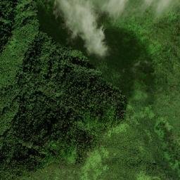 Spring Hill map(satellite map)