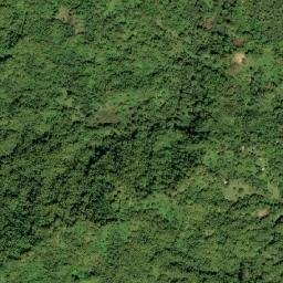 Fellowship map(satellite map)