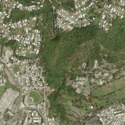 Cayey map(satellite map)