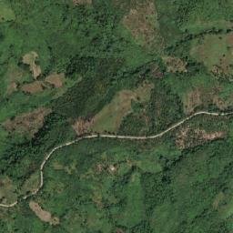 Flora map(satellite map)