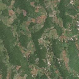 Medina map(satellite map)