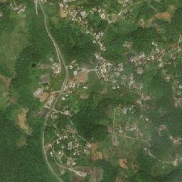 Walderston map(satellite map)